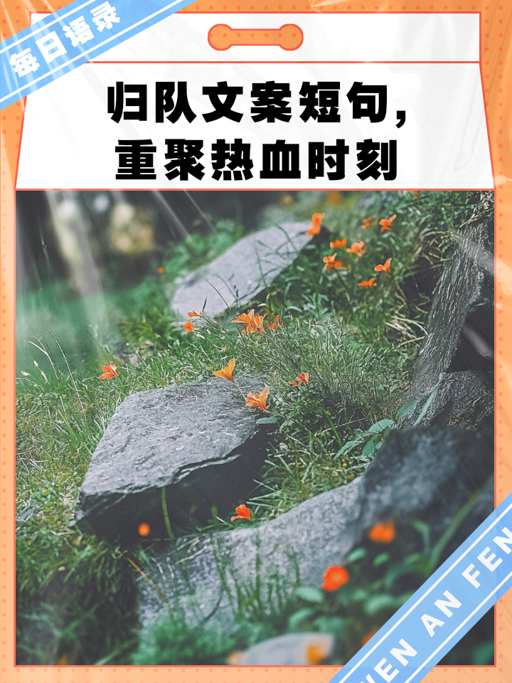 战术调整首场状态出色，公牛观众沸腾！，蒂姆重返赛场再创辉煌时刻(施工现场扬尘治理七个到位)